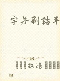 宇丹刷钻平台