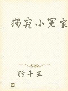 独宠小冤家封面