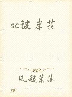 sc彼岸花