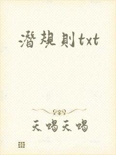 潜规则txt