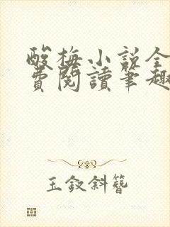 酸梅小说全文免费阅读笔趣阁