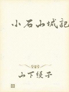 小石山城记封面