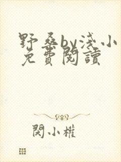 野桑by浅小说免费阅读