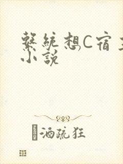 系统想C宿主的小说