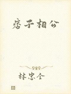 痞子相公