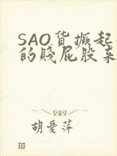 SAO货撅起你的贱屁股来封面