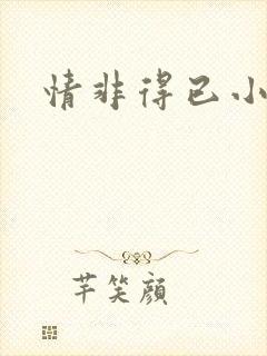 情非得已小说封面