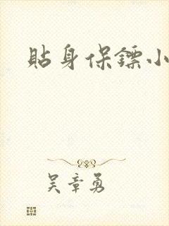 贴身保镖小说