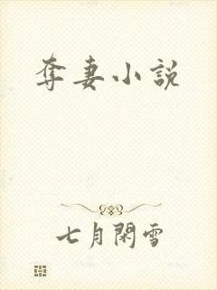 夺妻小说
