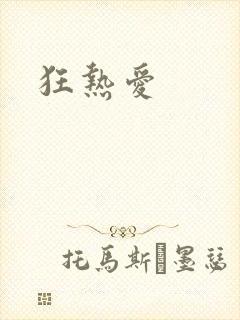 狂热爱封面