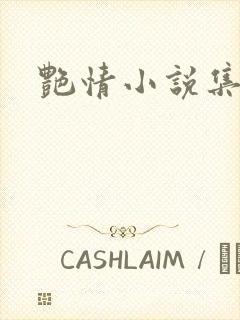 艳情小说集封面
