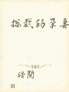 总裁的孕妻