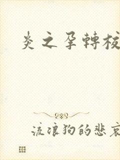 炎之孕转校生封面