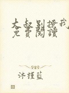 大叔别撩我小说免费阅读封面