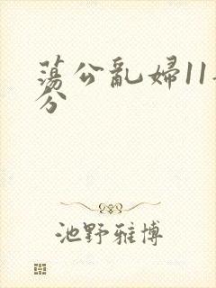 荡公乱妇11部分封面