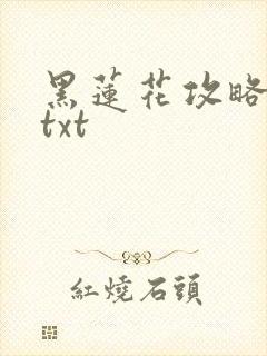 黑莲花攻略手册txt