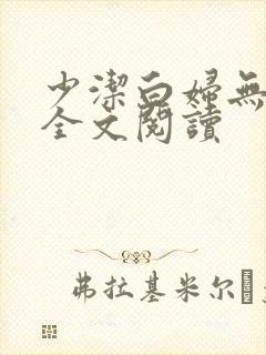 少洁白妇无删减全文阅读