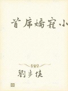 首席娇宠小情人