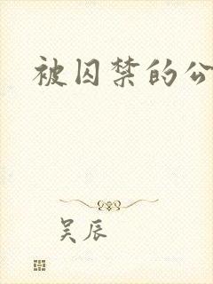 被囚禁的公主