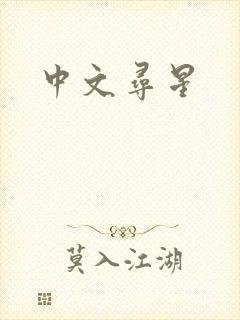 中文寻星