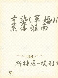有染(军婚)/叶落淮南封面