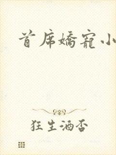 首席娇宠小情人