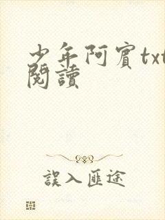 少年阿宾txt阅读