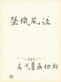 坠机风流