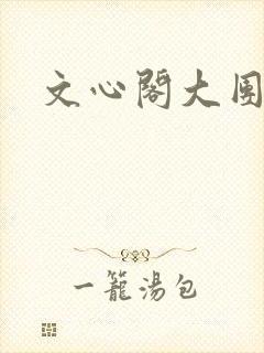 文心阁大团结封面