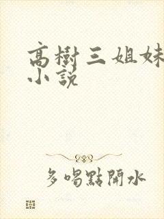 高树三姐妹有声小说封面