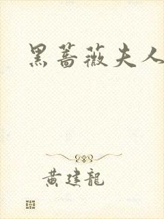 黑蔷薇夫人封面