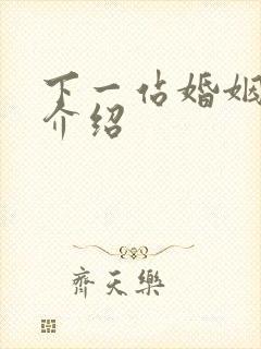 下一站婚姻剧情介绍封面