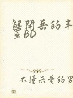 解开岳的丰满奶罩BD封面