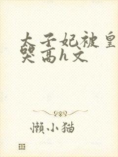 太子妃被皇上c哭高h文