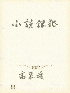 小说银狐