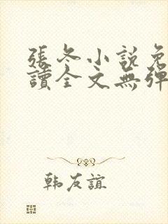 张冬小说免费阅读全文无弹窗封面