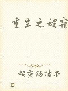 重生之媚宠系统封面