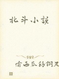 北斗小说封面