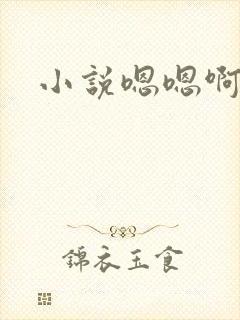 小说嗯嗯啊啊