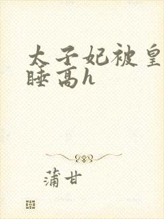 太子妃被皇上强睡高h封面