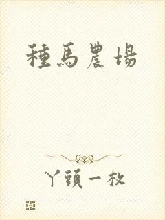 种马农场封面