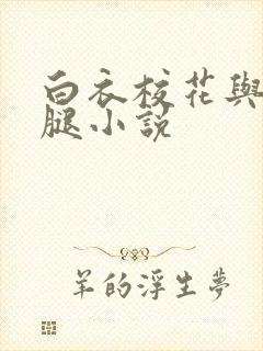 白衣校花与大长腿小说封面