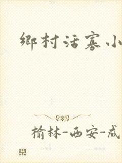 乡村活寡小说封面