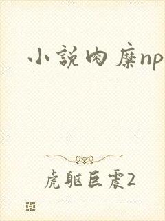 小说肉糜np