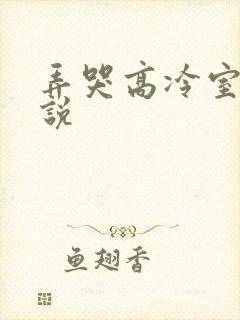 弄哭高冷室友小说封面