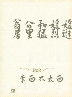 翁公和媛媛在厨房里猛烈进出