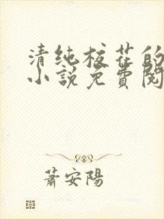 清纯校花的秘密小说免费阅读