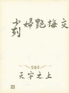 少妇艳梅交换系列封面