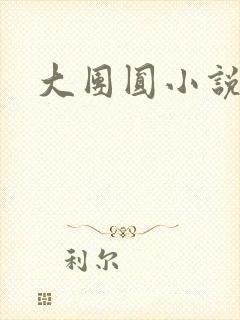 大团圆小说