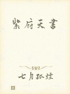 紫府天书